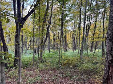 1.3 Graham Rd, Otselic, NY 13464