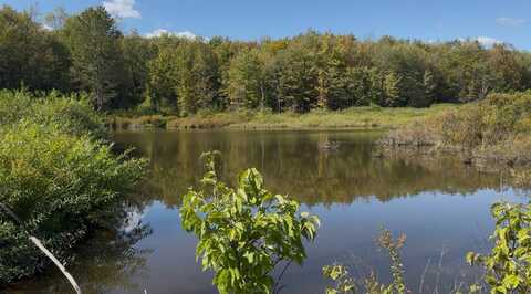 1.7 Reit Rd, Otselic, NY 13464