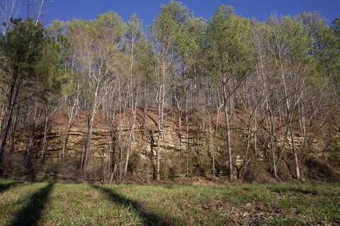 - County Road 63, Winfield, AL 35594