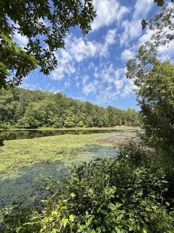 0 Judson Park Dr., Cottondale, AL 35453
