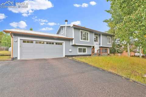 828 E Northwoods Drive, Woodland Park, CO 80863