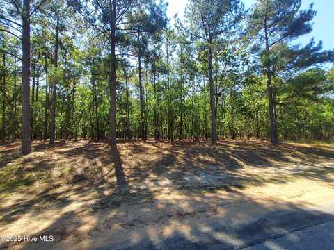 32 Peach Orchard Road, Wagram, NC 28396