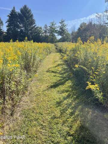 641 Spring Hill Road, Moscow, PA 18444