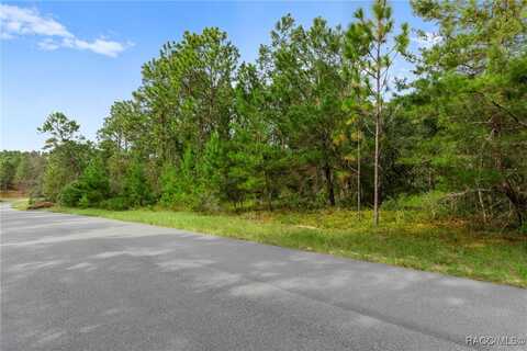 4099 W Malaluka Circle, Citrus Springs, FL 34433