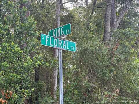 6046 E King Lane, Inverness, FL 34452