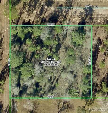 14056 Race Avenue, Brooksville, FL 34614