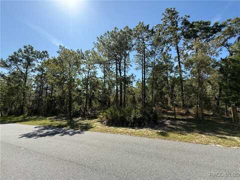 9006 Michigan Avenue, Brooksville, FL 34613