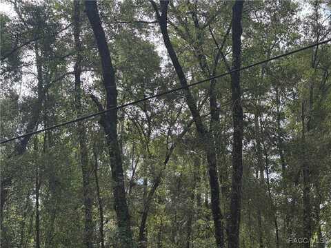 6066 E King Lane, Inverness, FL 34452
