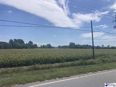 TBD S Highway 301, Hamer, SC 29547