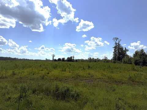 Lot 1 Hwy 71, Wewahitchka, FL 32465