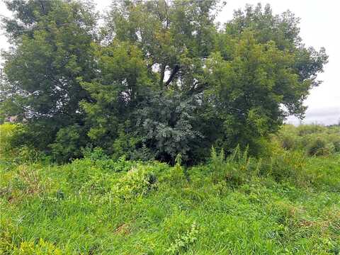 250th Street lot: 20 & 21, Cadott, WI 54727