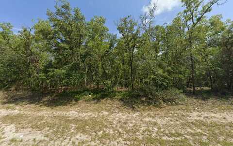 Tbd SW 72nd Circle, Dunnellon, FL 34432
