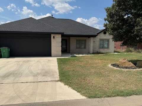 4229 Goodnight Trail, San Angelo, TX 76903