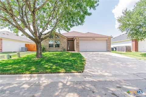 1722 Oak Chase Trail, Temple, TX 76502