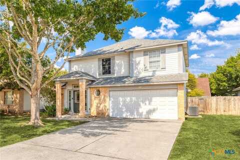 221 Sunshadow Drive, Lockhart, TX 78644
