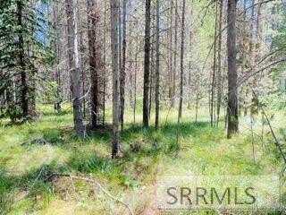 4009 Coyote Road, Island Park, ID 83420