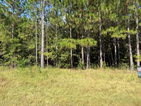 0 WADE RD., Pelham, GA 31779