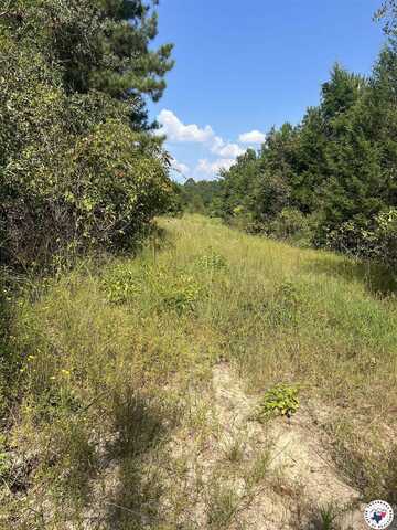 1072 CR 1111, Atlanta, TX 75551