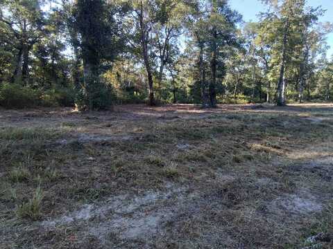 Coastal Highway lot: 90, Crawfordville, FL 32327