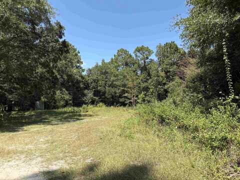Blue Waters Court lot: 10, Tallahassee, FL 32305