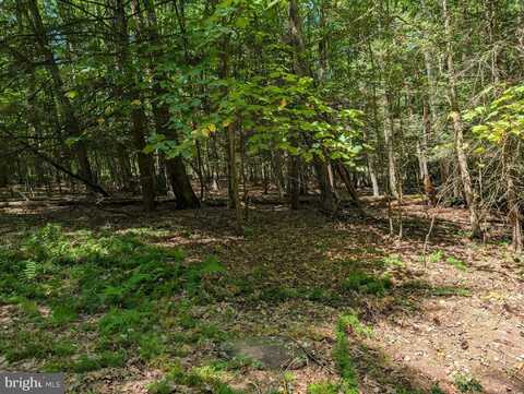 271 KEARKUFF ROAD, BENTON, PA 17814