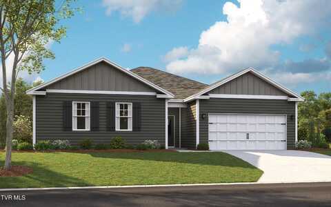 257 Artist Avenue, Johnson City, TN 37615