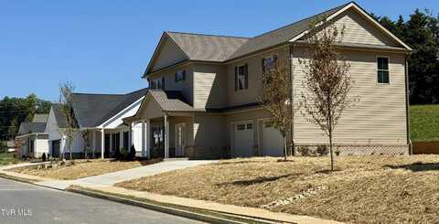 369 Wilson Knob View, Jonesborough, TN 37659