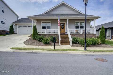 301 Princeton Gardens Drive, Johnson City, TN 37601