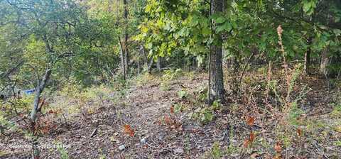 Mary Ave, HOLLADAY, TN 38341