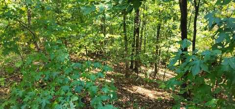 Kinnaird Access Rd, CAMDEN, TN 38320
