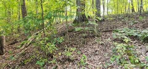 Highlander Rd, CAMDEN, TN 38320