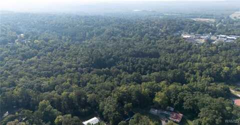 Magnolia Circle, Centreville, AL 35042