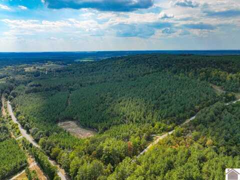 000 State Route 1433, Salem, KY 42078