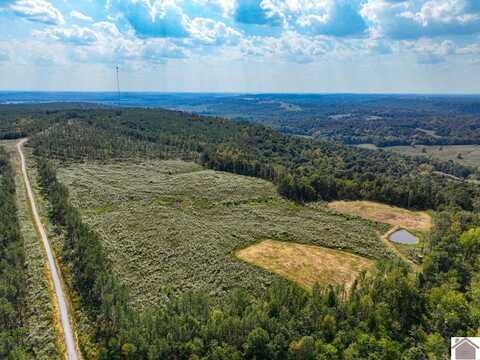 000 Cedar Grove Road, Salem, KY 42078