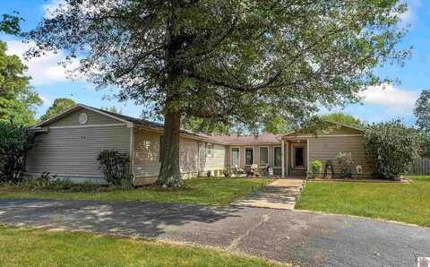677 Trailridge Rd, Mayfield, KY 42066