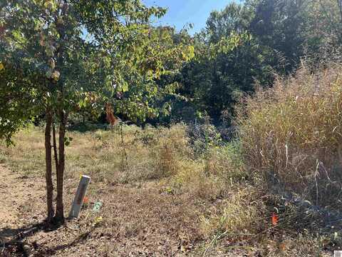 Lot 74 Championship Dr, Benton, KY 42025
