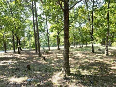 507 Henderson RD, CLINTON, AR 72031