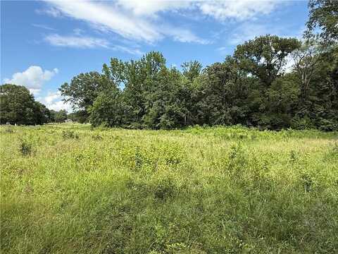 Tract A N New Hope RD, Dardanelle, AR 72834