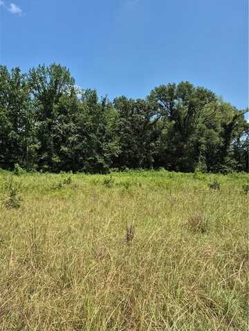 Track B N New Hope RD, Dardanelle, AR 72834