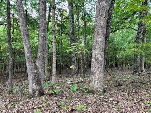 1315 Madison 2315, Huntsville, AR 72740