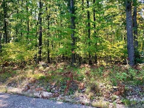 305 Summit Road, Roscommon, MI 48653