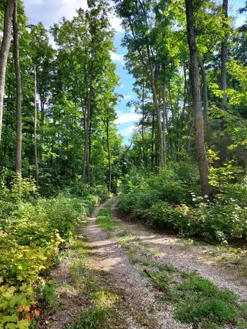 3580 Jordan River Road, Elmira, MI 49730