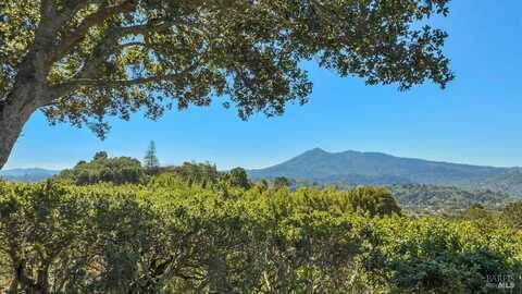 119 Oakmont Avenue, San Rafael, CA 94901