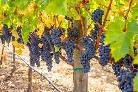 3800 Jameson Canyon Road, Napa, CA 94558