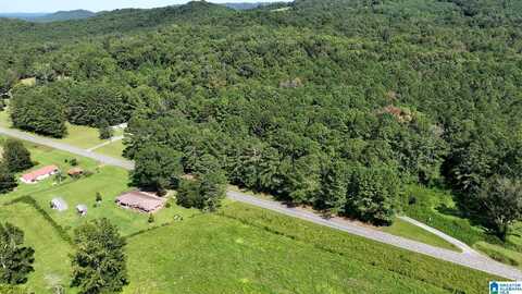 GALLANT ROAD, GALLANT, AL 35972