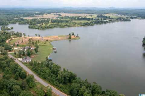 270 LAKE POINTE DRIVE, LINCOLN, AL 35096