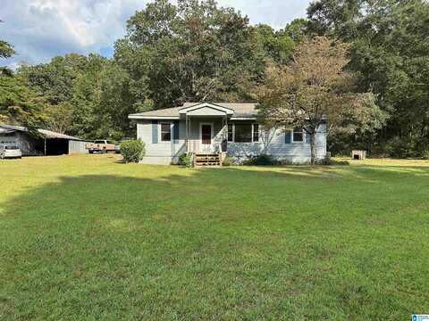 493 PINE MOUNTAIN ROAD, REMLAP, AL 35133