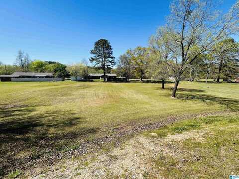 0 GUNTER DRIVE, PIEDMONT, AL 36272