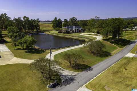 65 RIVER HEIGHTS DRIVE, CLEVELAND, AL 35049