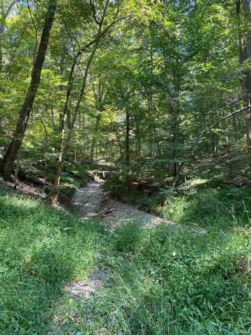 E Ramp Creek Road, Bloomington, IN 47401